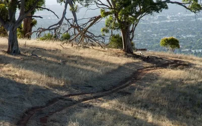 Bike Tracks